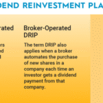 How Dividend Reinvestment Plans (DRIPs) Work for U.S. Investors
